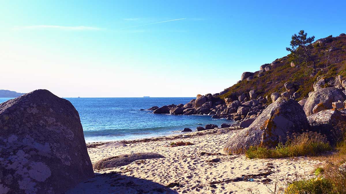Econatura: cuidado y respeto hacia el medio ambiente