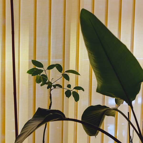 Cómo cuidar de la naturaleza: consejos y acciones